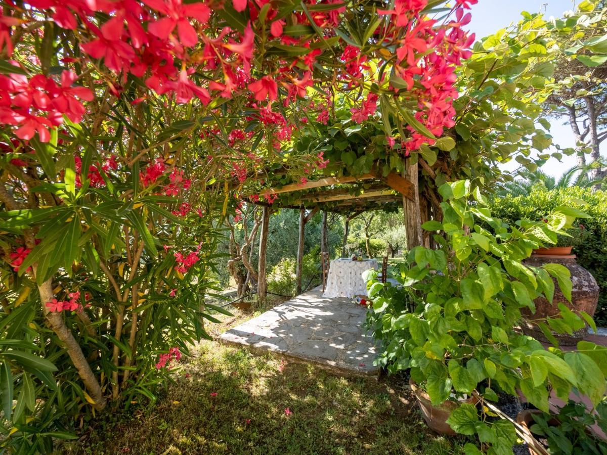 Residence Al Foionco 卢卡 外观 照片