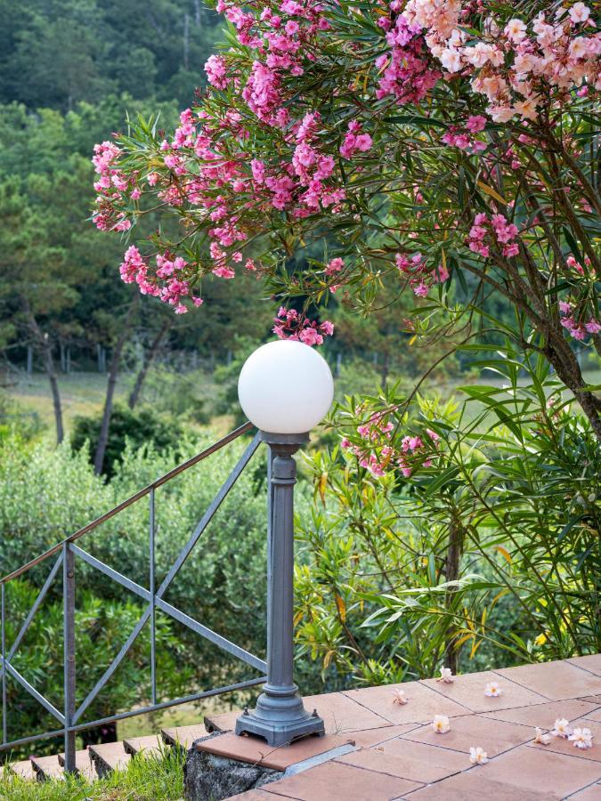 Residence Al Foionco 卢卡 外观 照片